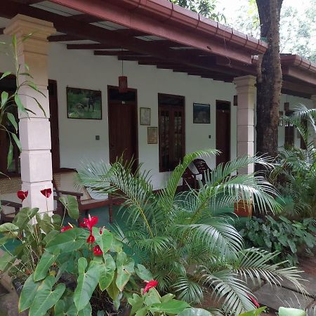 Sigiri Jungle Villa Sigiriya Esterno foto