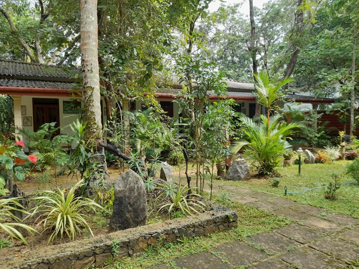 Sigiri Jungle Villa Sigiriya Esterno foto