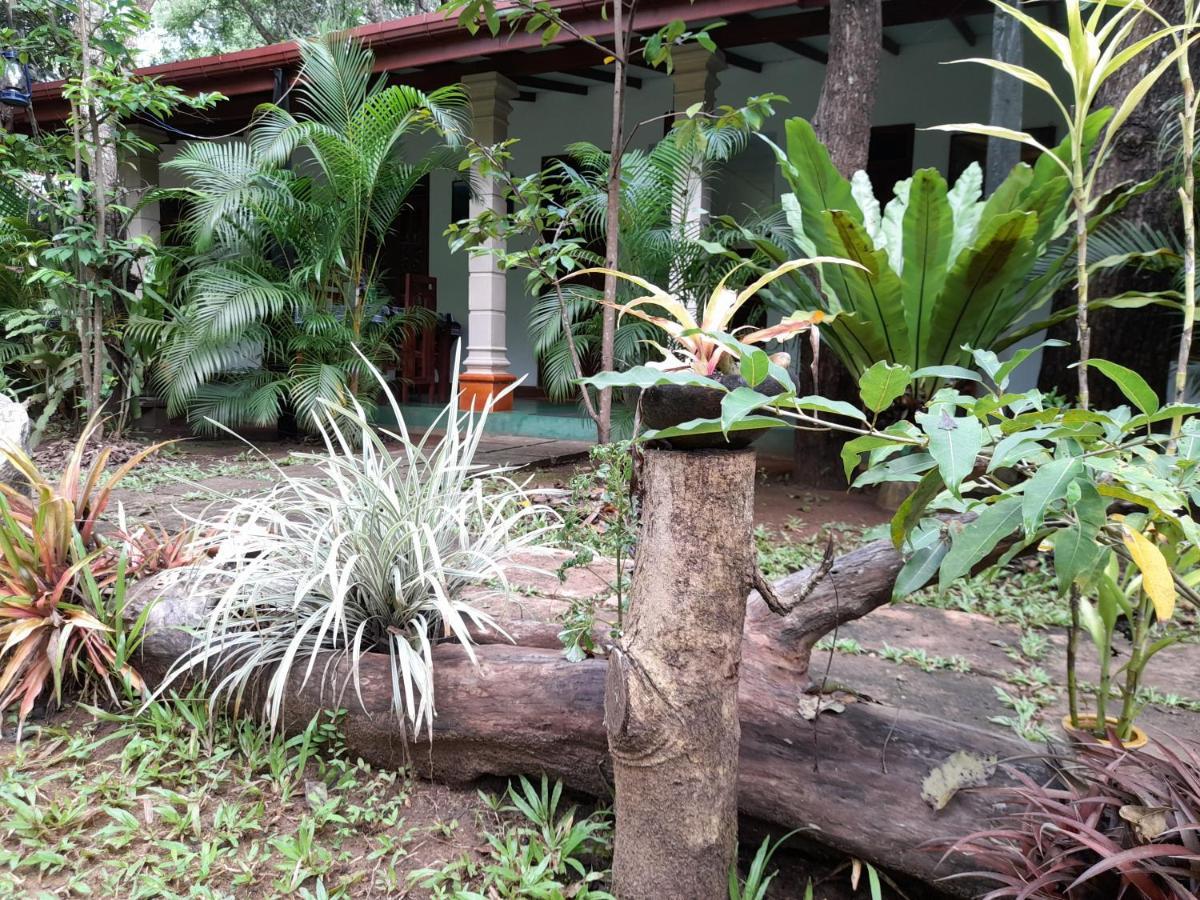 Sigiri Jungle Villa Sigiriya Esterno foto
